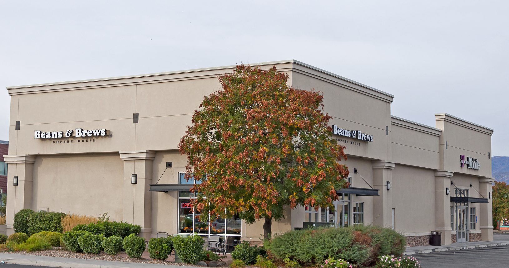 A building with a tree in front of it