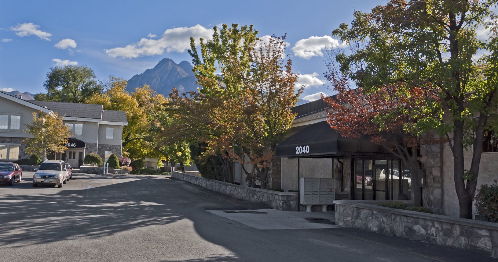 A street with trees and buildings on the side of it.