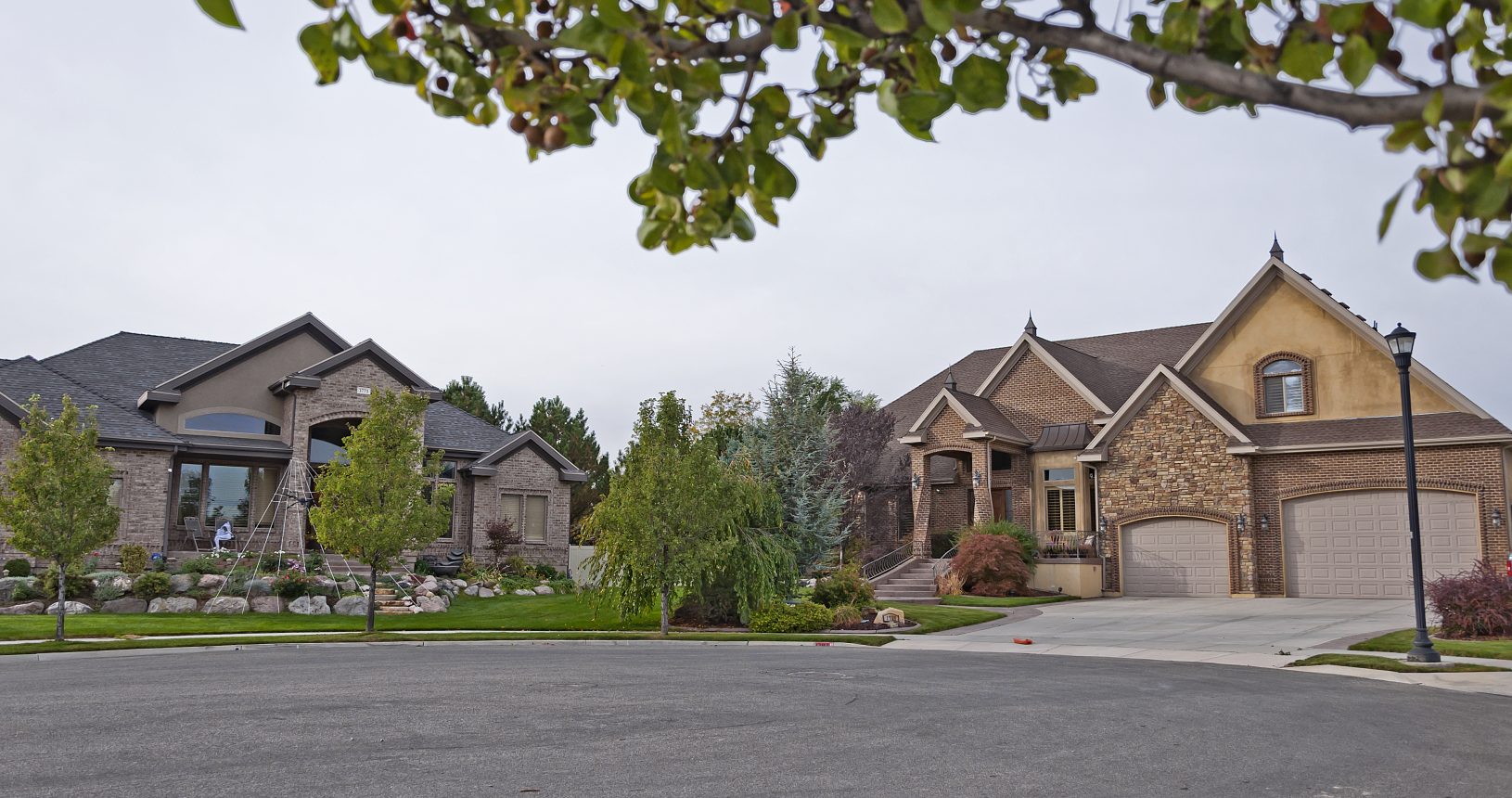 A row of houses with trees in the background.