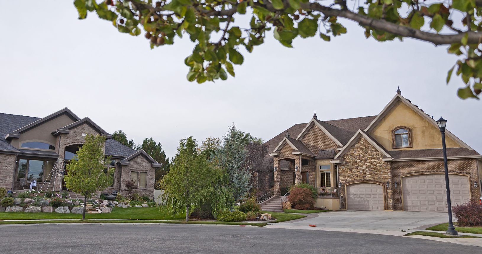 A view of some houses in the neighborhood.