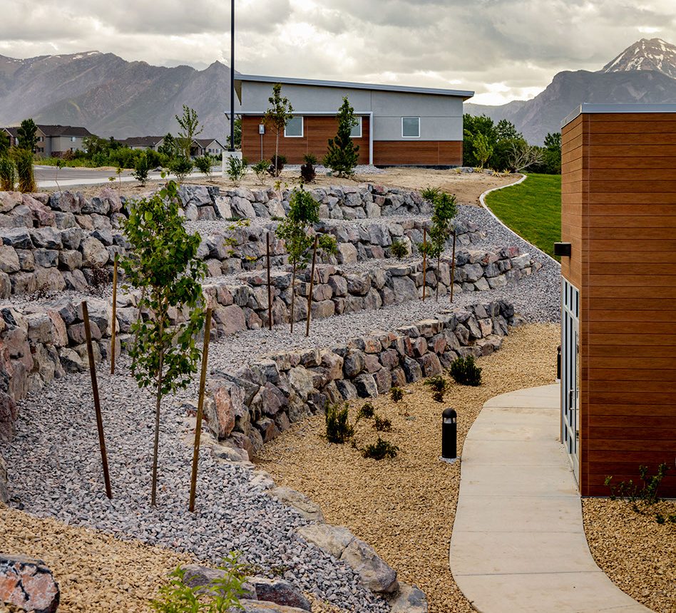 A walkway with trees and rocks in the background.